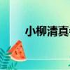 小柳清真寺（關于小柳清真寺簡介）