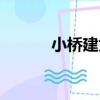 小橋建太（關于小橋建太簡介）