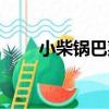 小柴鍋巴菜（關于小柴鍋巴菜簡介）