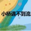 小橋遇不到流水（關于小橋遇不到流水簡介）