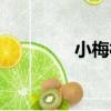 小梅村（關于小梅村簡介）