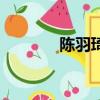 陳羽琦（關于陳羽琦的簡介）