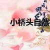 小橋頭自然村（關于小橋頭自然村簡介）
