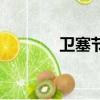 衛塞節（關于衛塞節的簡介）