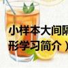 小樣本大間隔流形學習（關于小樣本大間隔流形學習簡介）