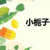 小梔子子（關于小梔子子簡介）