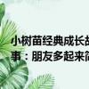 小樹苗經典成長故事：朋友多起來（關于小樹苗經典成長故事：朋友多起來簡介）