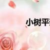 小樹平蘚（關于小樹平蘚簡介）