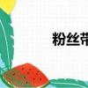 粉絲帶（關于粉絲帶的簡介）