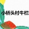 小橋頭村牛欄塢（關于小橋頭村牛欄塢簡介）