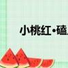 小桃紅·磕瓜（關于小桃紅·磕瓜簡介）