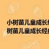 小樹苗兒童成長經典閱讀寶庫·成語三百則 珍藏版（關于小樹苗兒童成長經典閱讀寶庫·成語三百則 珍藏版簡介）