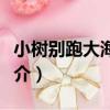 小樹別跑大海來了（關于小樹別跑大海來了簡介）