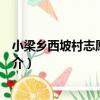 小梁鄉西坡村志愿服務隊（關于小梁鄉西坡村志愿服務隊簡介）
