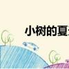 小樹的夏天（關于小樹的夏天簡介）