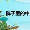 院子里的中國主要內容（院子里的中國）
