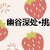 幽谷深處·挑戰（關于幽谷深處·挑戰介紹）