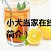 小犬當家在線觀看（關于小犬當家在線觀看的簡介）