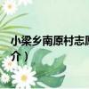 小梁鄉南原村志愿服務隊（關于小梁鄉南原村志愿服務隊簡介）