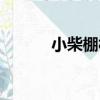 小柴棚村（關于小柴棚村簡介）