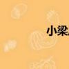 小梁莊（關于小梁莊簡介）