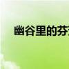 幽谷里的芬芳（關于幽谷里的芬芳介紹）