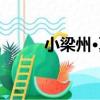 小梁州·夏（關于小梁州·夏簡介）