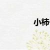 小柿子（關于小柿子簡介）