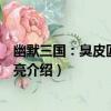 幽默三國：臭皮匠與諸葛亮（關于幽默三國：臭皮匠與諸葛亮介紹）