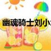 幽魂騎士劉小壞（關于幽魂騎士劉小壞介紹）
