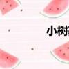 小樹寨（關于小樹寨簡介）