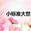 小標準大世界（關于小標準大世界簡介）
