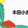 豐田小吉普叫什么（豐田小吉普）