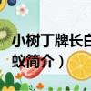 小樹丁牌長白山螞蟻（關于小樹丁牌長白山螞蟻簡介）