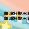 幽門螺桿菌Cag致病島IV型分泌裝置轉運機制的研究（關于幽門螺桿菌Cag致病島IV型分泌裝置轉運機制的研究介紹）