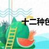 十二種色彩的英文（十二種色彩）