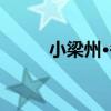 小梁州·冬（關于小梁州·冬簡介）