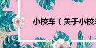 小校車(關于小校車簡介)