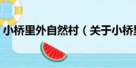 小橋里外自然村(關于小橋里外自然村簡介)