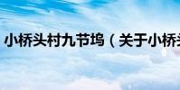 小橋頭村九節塢(關于小橋頭村九節塢簡介)