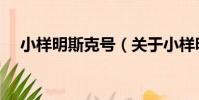 小樣明斯克號(關于小樣明斯克號簡介)