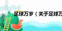 足球萬歲(關于足球萬歲的簡介)