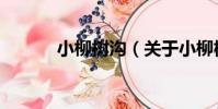小柳樹溝(關于小柳樹溝簡介)