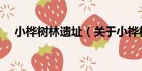 小樺樹林遺址(關于小樺樹林遺址簡介)