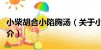 小柴胡合小陷胸湯(關于小柴胡合小陷胸湯簡介)