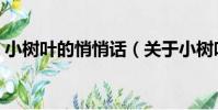 小樹葉的悄悄話(關于小樹葉的悄悄話簡介)