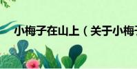 小梅子在山上(關于小梅子在山上簡介)
