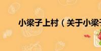 小梁子上村(關于小梁子上村簡介)