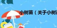 小樹苗(關于小樹苗簡介)