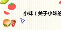 小妹(關于小妹的簡介)